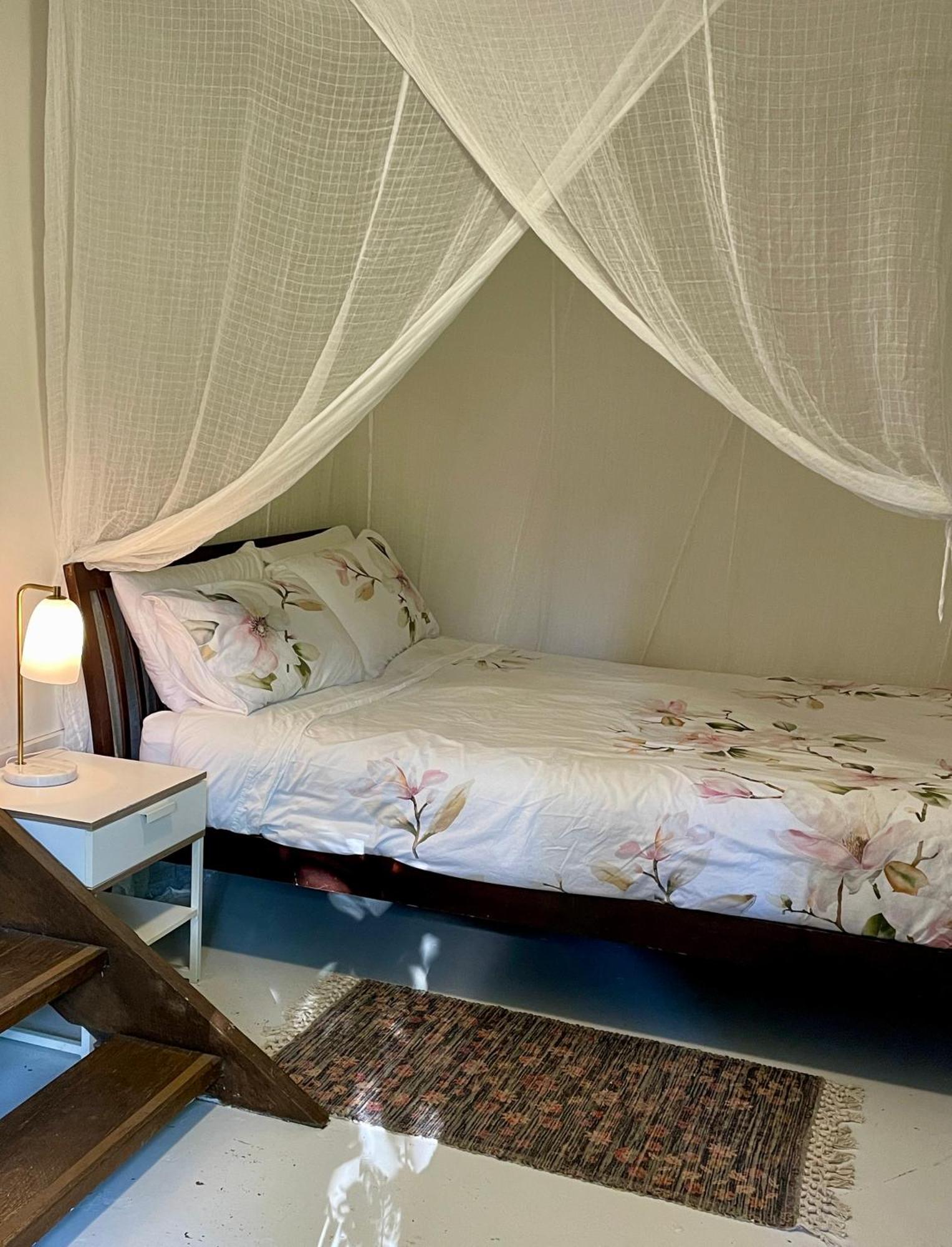 ביירון ביי Lilli Pilli Guesthouse מראה חיצוני תמונה